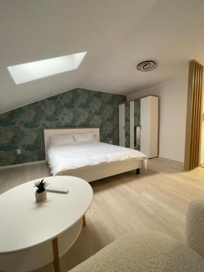Loft Apartment